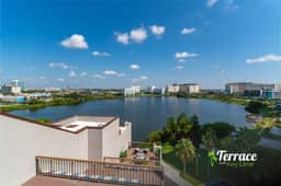 TerraceOn8 Key Lime, 2806 (Signature)